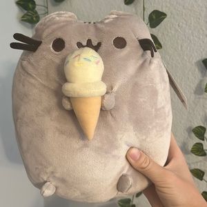 Ice cream pusheen